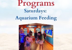 Aquarium Feeding - Free Summer Program at OCLSSM