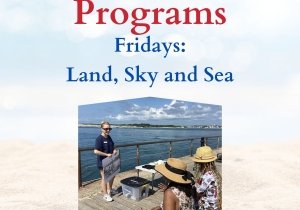 Free Summer Programs: Land, Sky, and Sea