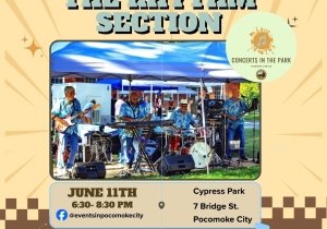Concert in the Park with Rhythm Section