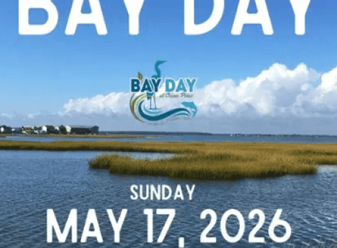 Bay Day! Make a difference in your backyard bays!