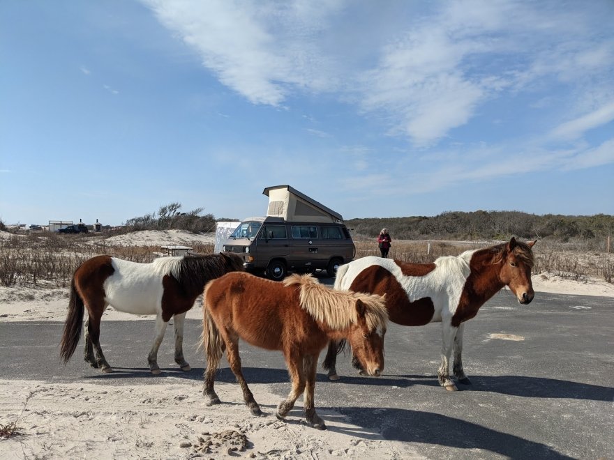 Assateague Island National Seashore