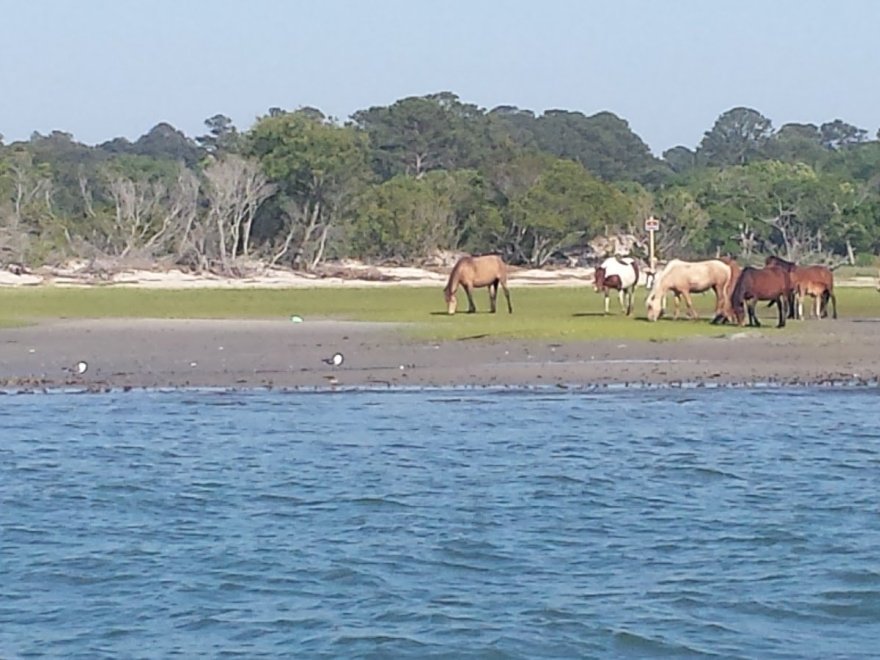 Assateague Island National Seashore