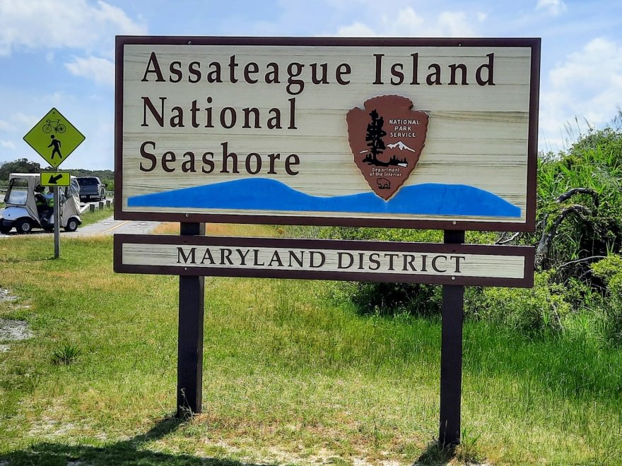 Assateague Island National Seashore