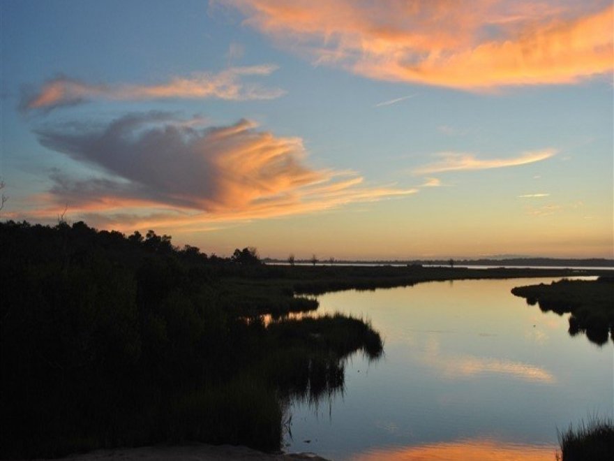 Assateague Island National Seashore