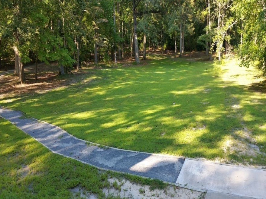 Pocomoke River State Park: Milburn Landing