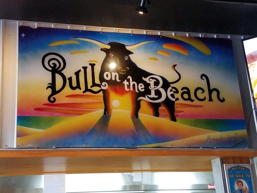 Bull on the Beach