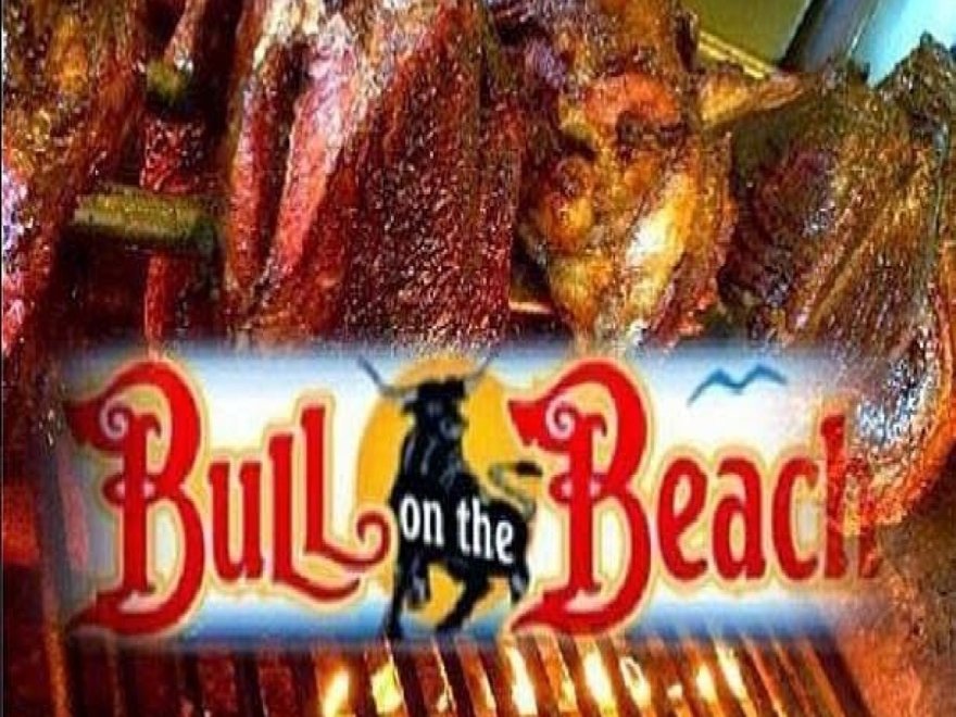 Bull on the Beach