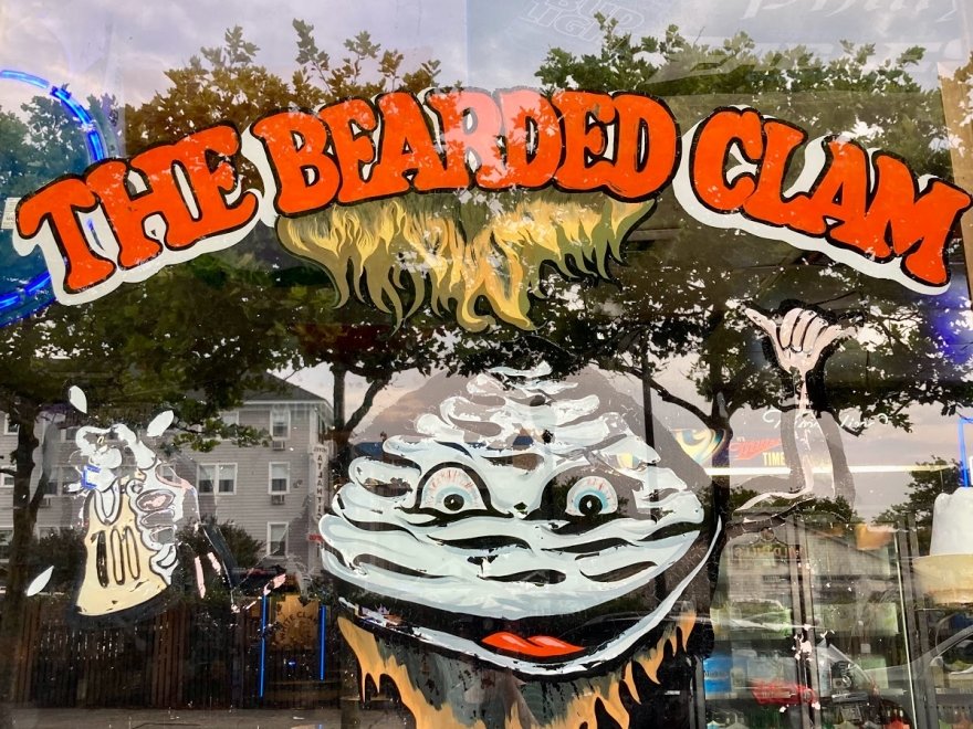 Bearded Clam