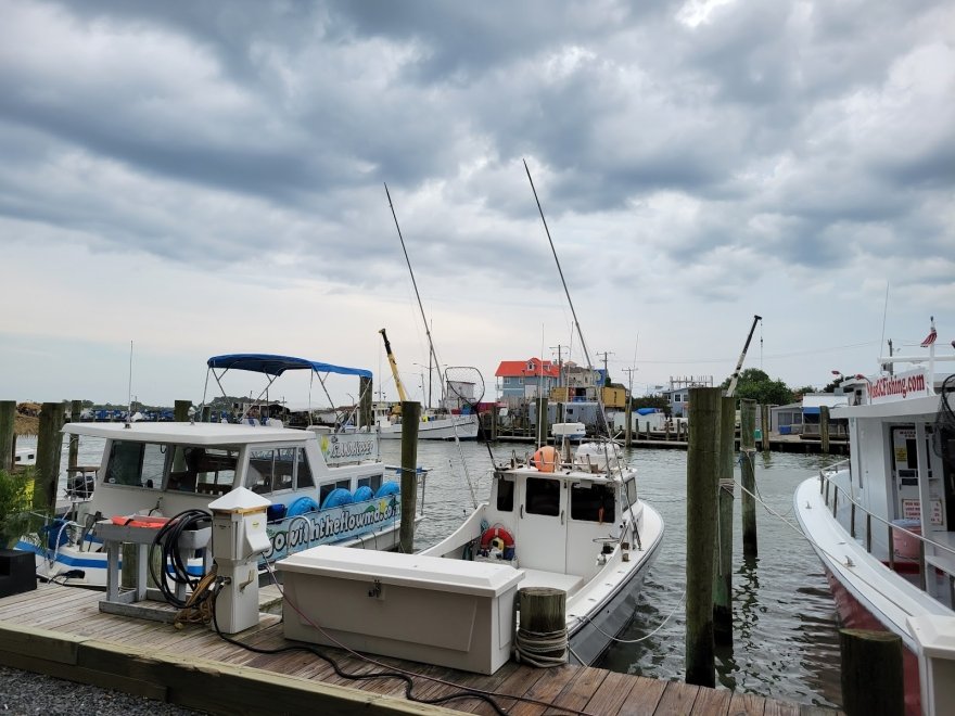 The Shark on the Harbor Restaurant