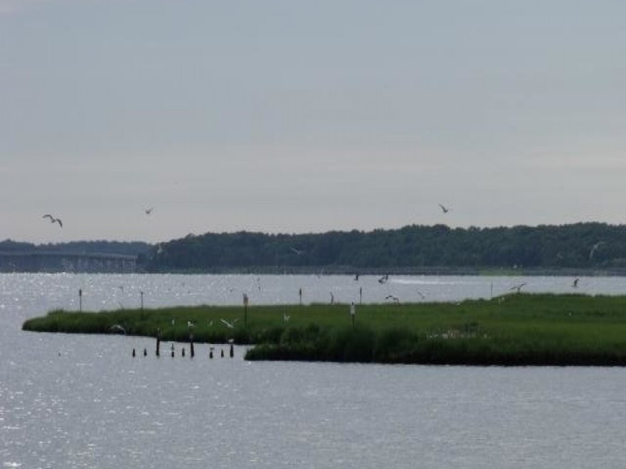 Maryland Coastal Bays Program