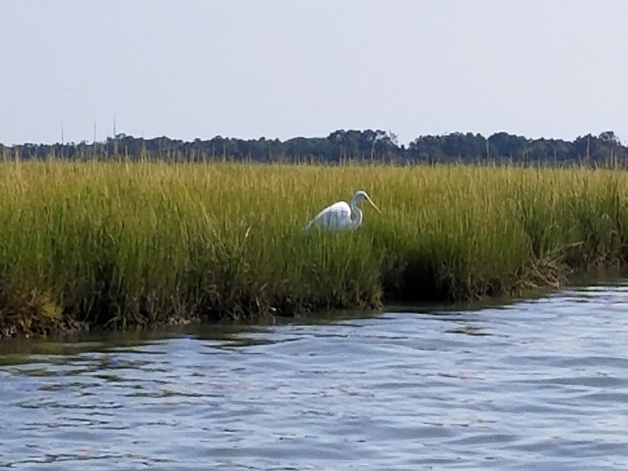 Assateague Outfitters