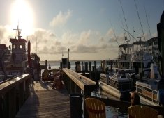 Tortuga Bay Fishing