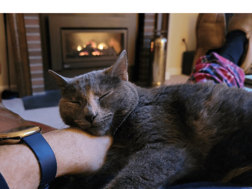 Worcester County Humane Society