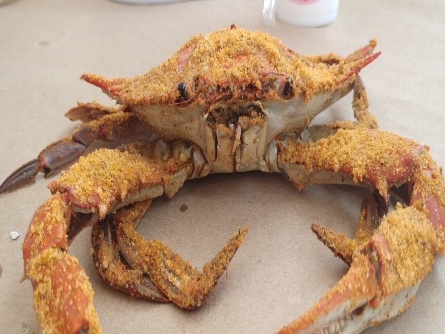 OCM Crabs