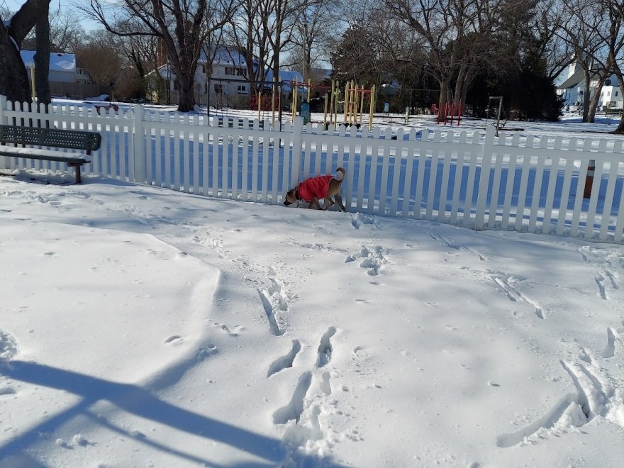 Stephen Decatur Park