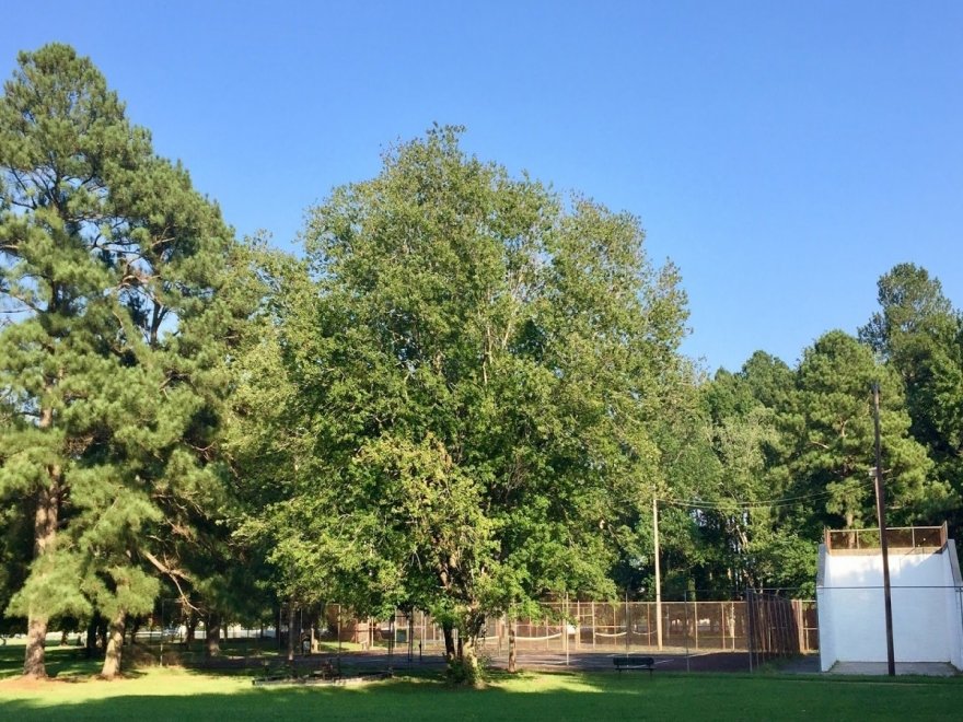 Stephen Decatur Park