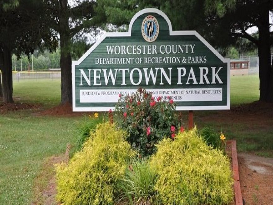 Newtown Park