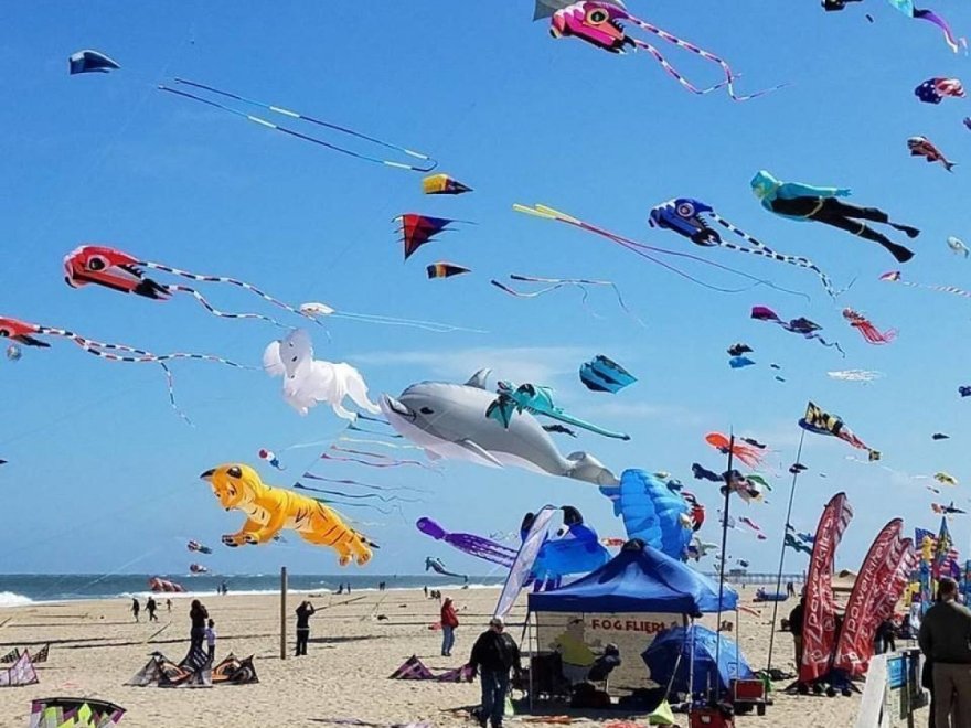 The Kite Loft